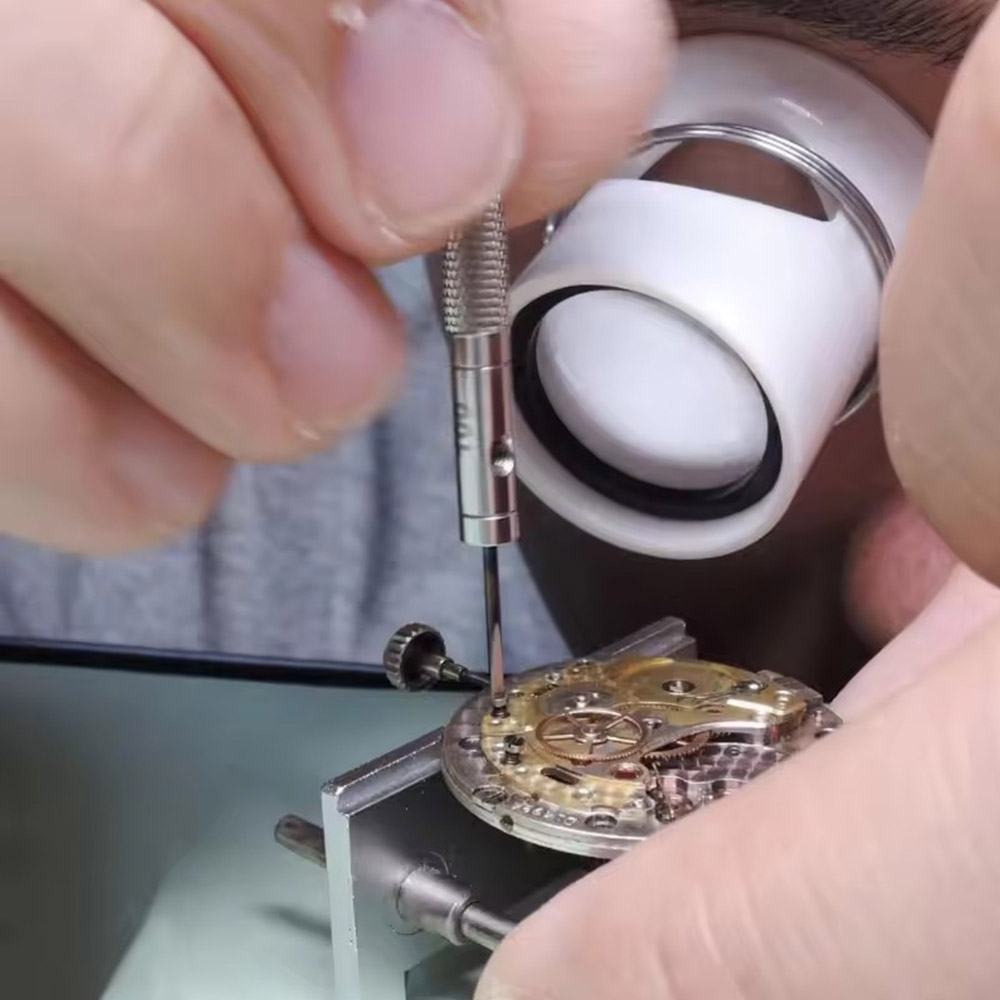 5 stks/set 0.8-1.6mm Stalen Sc - Watchmaker Screwdriver recensie en prijs